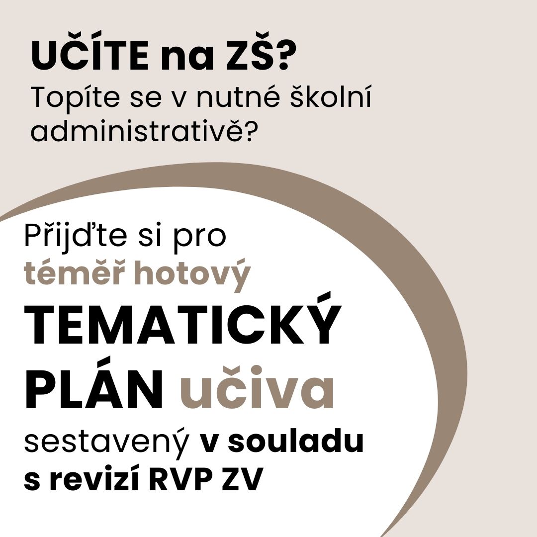 WEB E-SHOP (7)